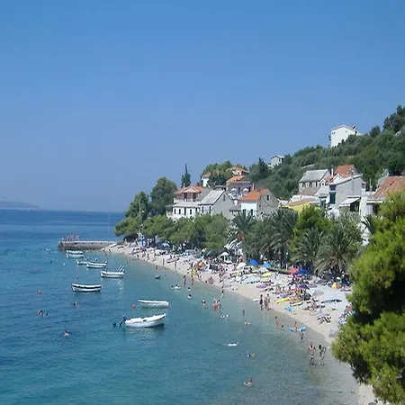 Hortenzija Baska Voda