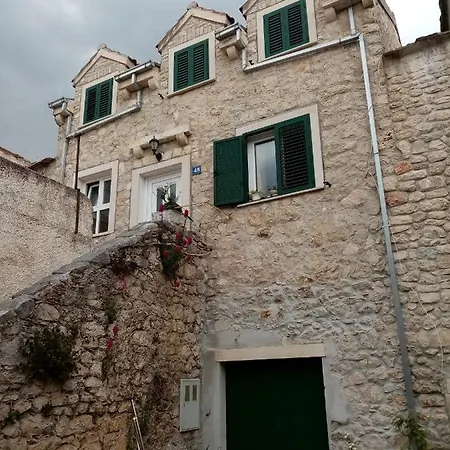 Hortenzija Baška Voda