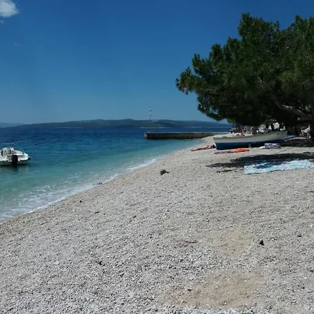 Hortenzija * Baška Voda