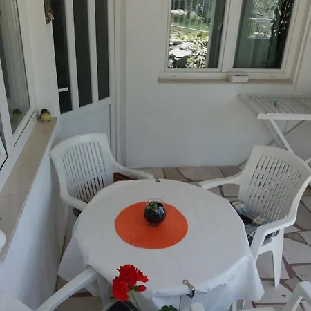 Hortenzija Apartament Baška Voda